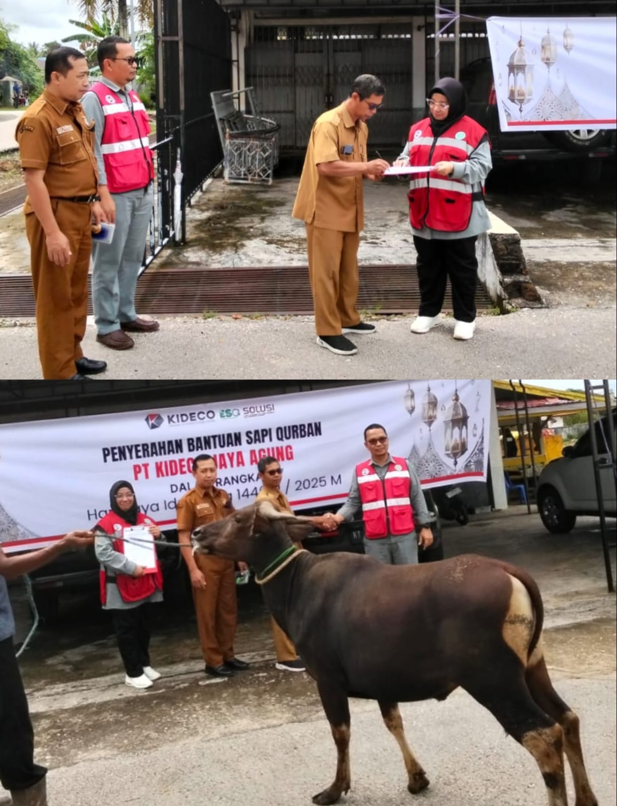 Sekretariat DPRD Paser Terima Sapi Kurban dari PT Kideco